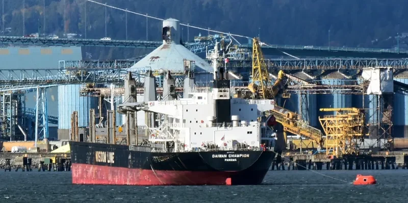 DAIWAN CHAMPION Bulk Carrier IMO 9672222 photo 3