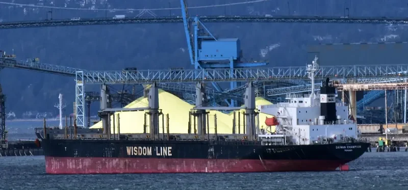 DAIWAN CHAMPION Bulk Carrier IMO 9672222 photo 4