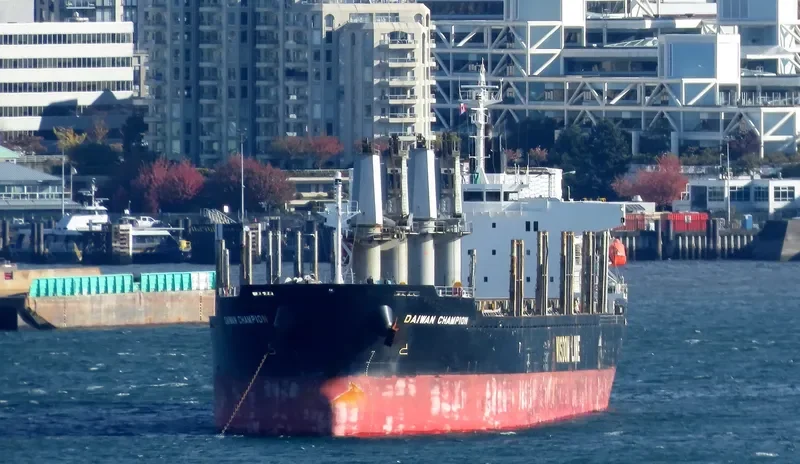 DAIWAN CHAMPION Bulk Carrier IMO 9672222 photo 6