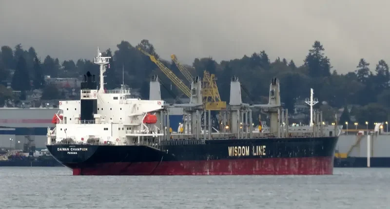 DAIWAN CHAMPION Bulk Carrier IMO 9672222 photo 7