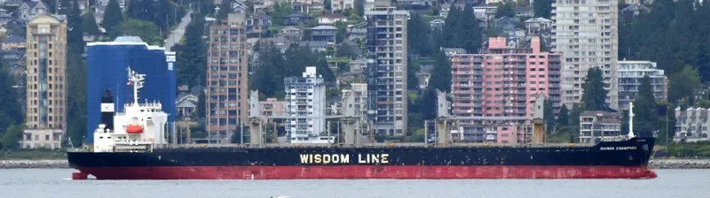 DAIWAN CHAMPION Bulk Carrier IMO 9672222 photo 8