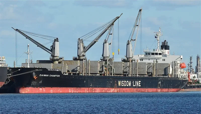 DAIWAN CHAMPION Bulk Carrier IMO 9672222 photo 9