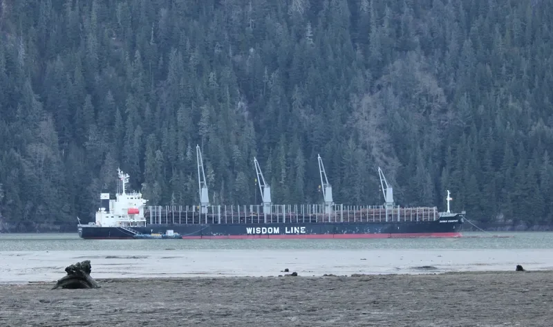 DAIWAN CHAMPION Bulk Carrier IMO 9672222 photo 10