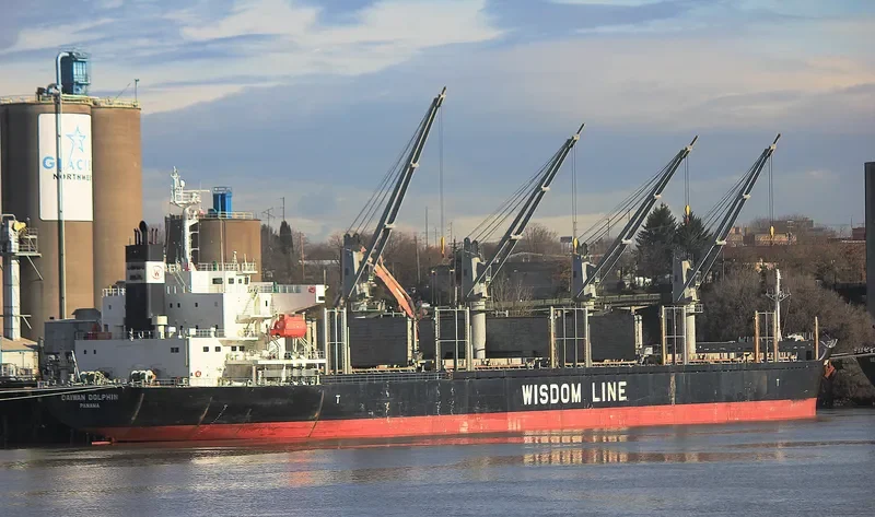 DAIWAN DOLPHIN Bulk Carrier IMO 9672234