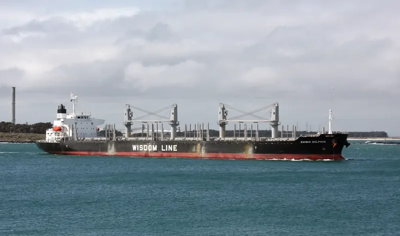DAIWAN DOLPHIN Bulk Carrier IMO 9672234 photo 2