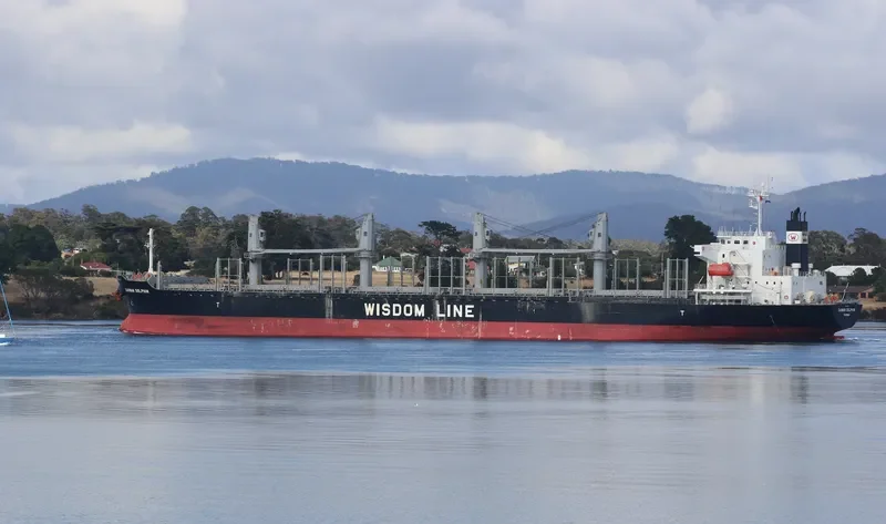 DAIWAN DOLPHIN Bulk Carrier IMO 9672234 photo 4
