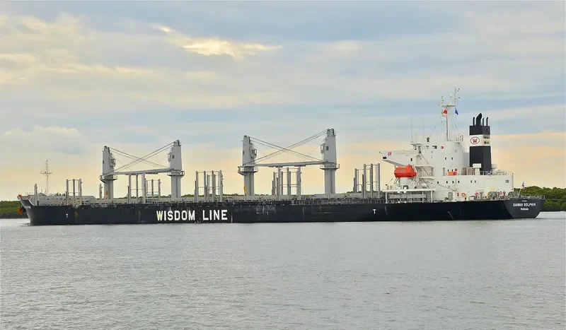 DAIWAN DOLPHIN Bulk Carrier IMO 9672234 photo 5