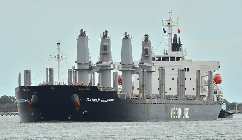 DAIWAN DOLPHIN Bulk Carrier IMO 9672234 photo 6