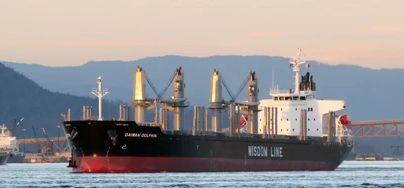 DAIWAN DOLPHIN Bulk Carrier IMO 9672234 photo 7