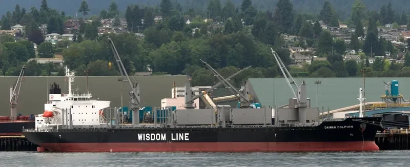 DAIWAN DOLPHIN Bulk Carrier IMO 9672234 photo 8