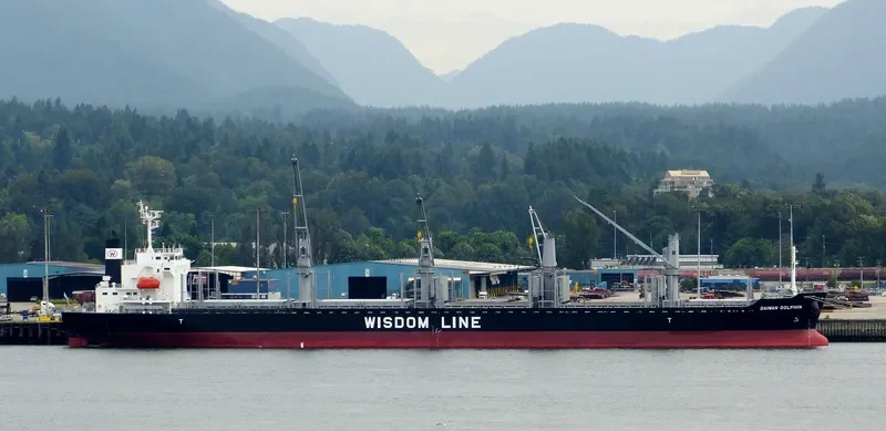 DAIWAN DOLPHIN Bulk Carrier IMO 9672234 photo 9