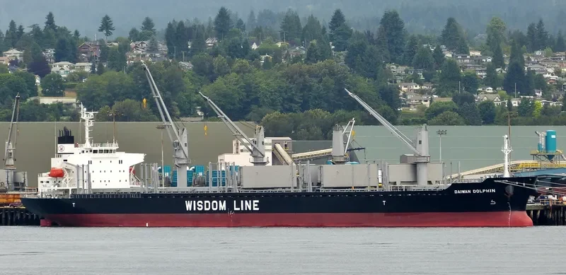 DAIWAN DOLPHIN Bulk Carrier IMO 9672234 photo 10