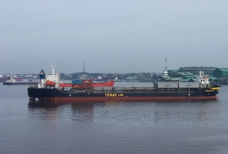 TELAGA MAS Container Ship IMO 9672375 photo 5