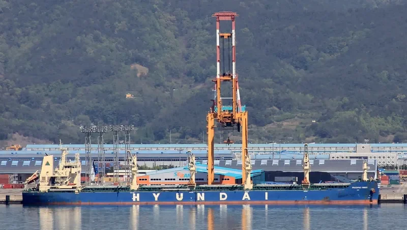 PACIFIC VISION Bulk Carrier IMO 9672507