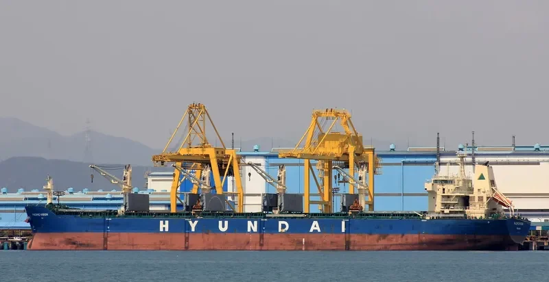 PACIFIC VISION Bulk Carrier IMO 9672507 photo 3