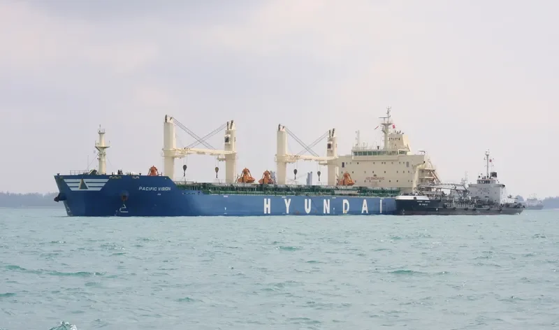 PACIFIC VISION Bulk Carrier IMO 9672507 photo 4