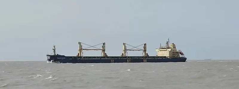 PACIFIC VISION Bulk Carrier IMO 9672507 photo 5