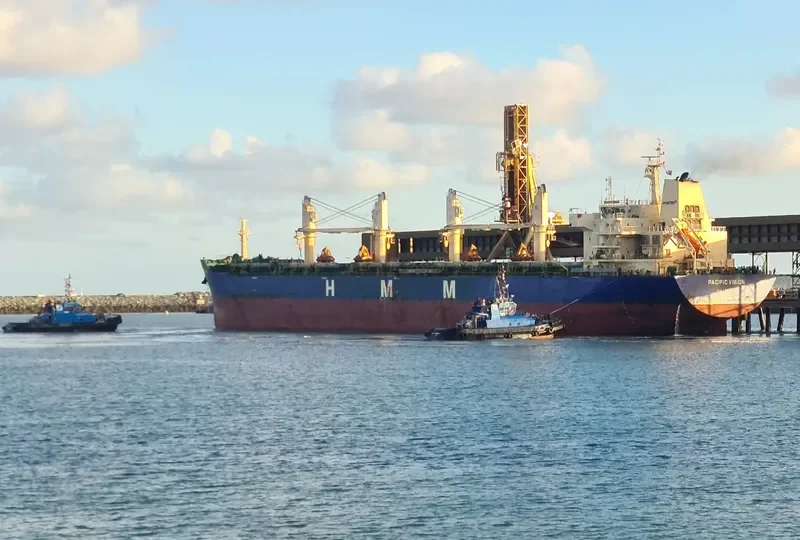 PACIFIC VISION Bulk Carrier IMO 9672507 photo 10