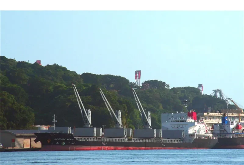 GEOPARK VENUS Bulk Carrier IMO 9672789 photo 4