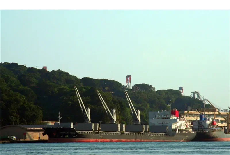 GEOPARK VENUS Bulk Carrier IMO 9672789 photo 7