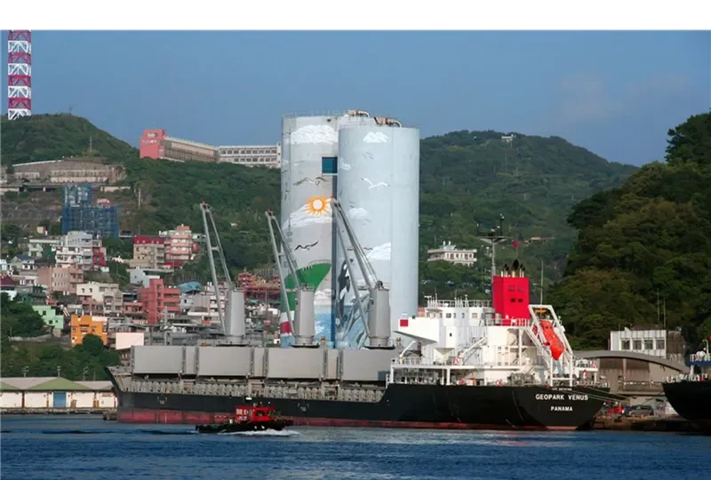 GEOPARK VENUS Bulk Carrier IMO 9672789 photo 9