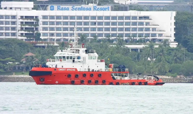 CREST APACHE General Cargo IMO 9672973 photo 2