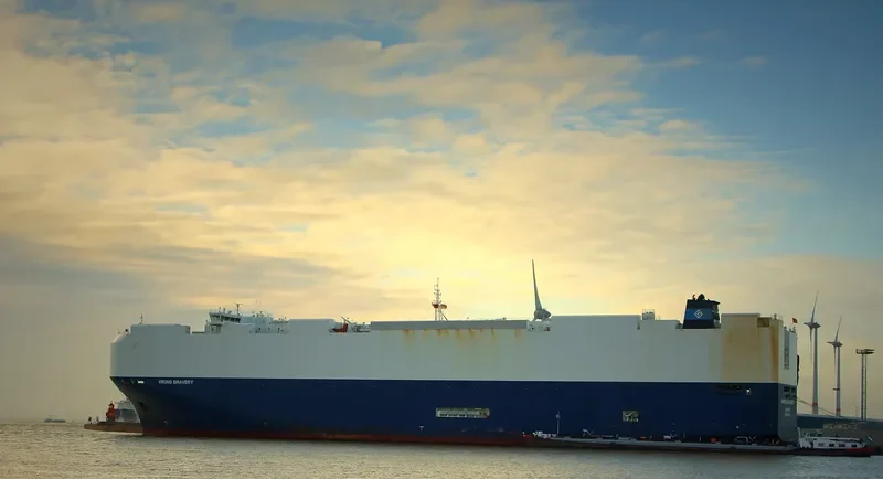 VIKING BRAVERY General Cargo IMO 9673020