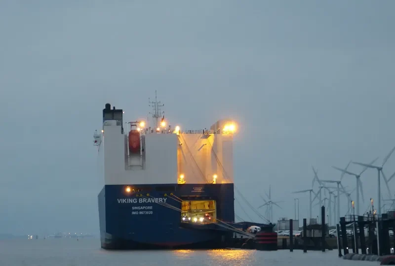 VIKING BRAVERY General Cargo IMO 9673020 photo 8