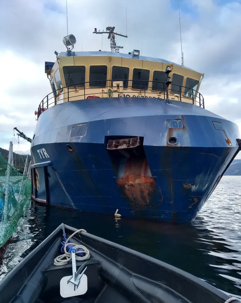 TYR General Cargo IMO 9673094 photo 4