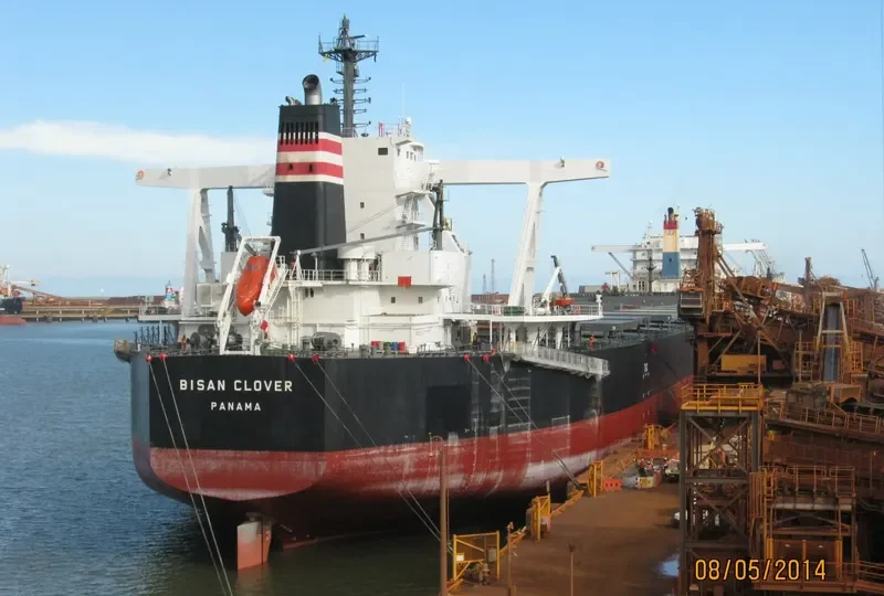 BISAN CLOVER Bulk Carrier IMO 9673147 photo 2