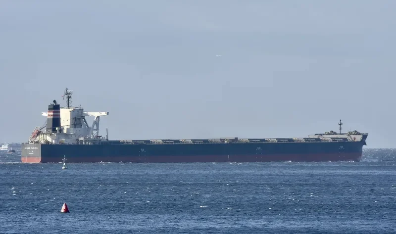 BISAN CLOVER Bulk Carrier IMO 9673147 photo 4
