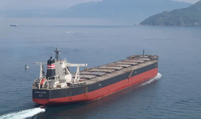 BISAN CLOVER Bulk Carrier IMO 9673147 photo 6