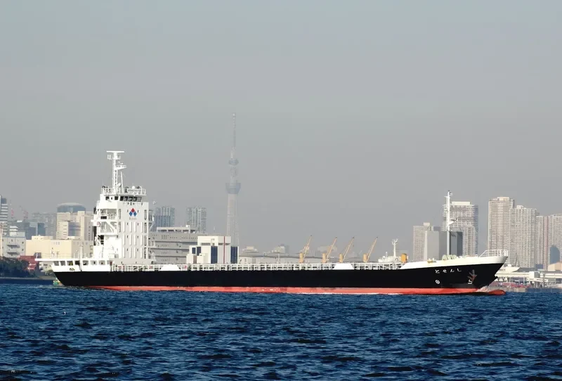 SHINSETO Container Ship IMO 9673185