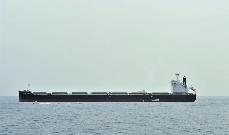 INTEGRALE Bulk Carrier IMO 9673202