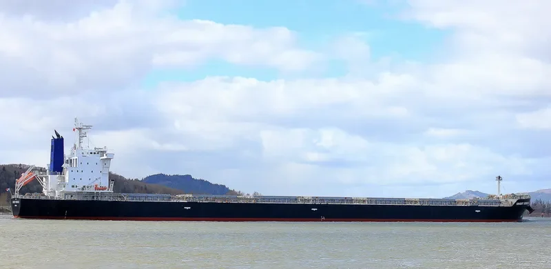 INTEGRALE Bulk Carrier IMO 9673202 photo 3