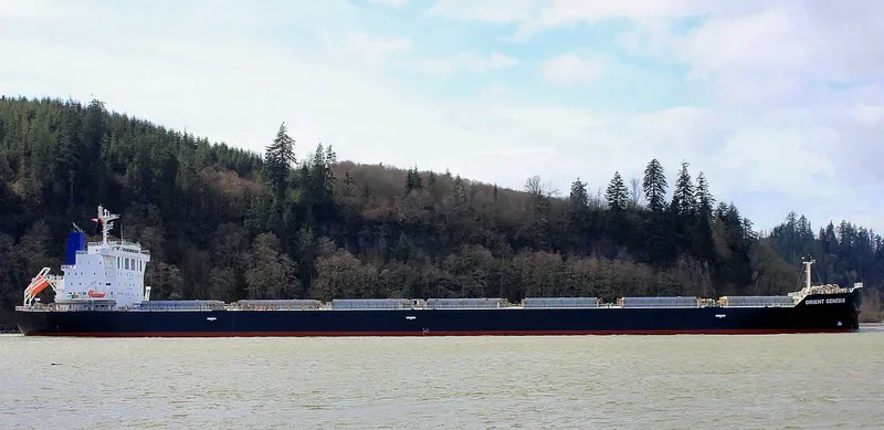 INTEGRALE Bulk Carrier IMO 9673202 photo 4