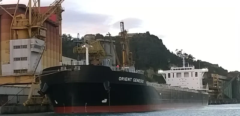 INTEGRALE Bulk Carrier IMO 9673202 photo 10