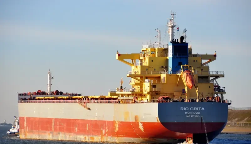 RIO GRITA Bulk Carrier IMO 9673513 photo 3