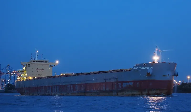 RIO TAMARA Bulk Carrier IMO 9673525