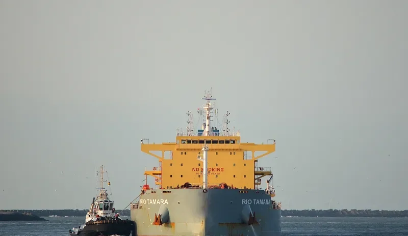 RIO TAMARA Bulk Carrier IMO 9673525 photo 13