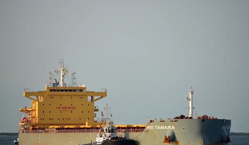 RIO TAMARA Bulk Carrier IMO 9673525 photo 16
