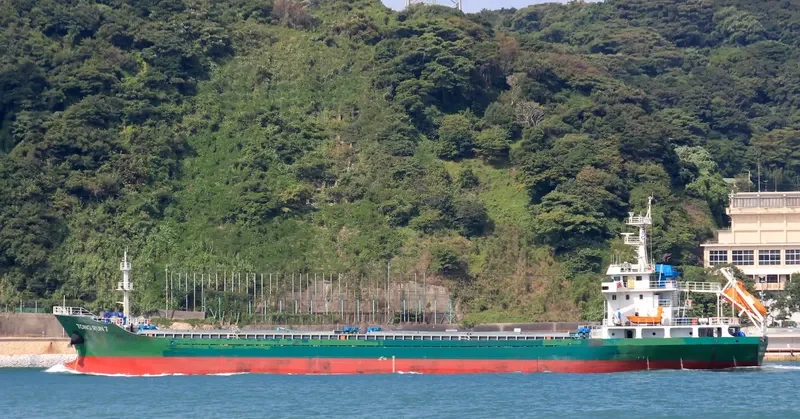 TONG RUN 7 Bulk Carrier IMO 9673563 photo 3