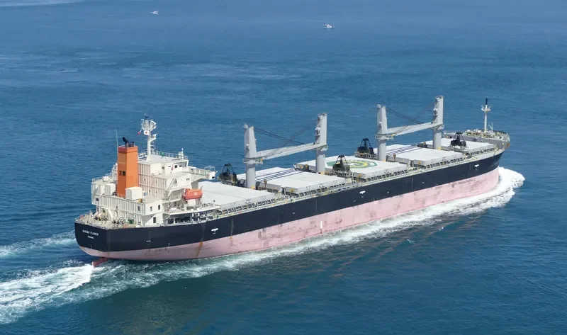 QUEEN FLOWER Bulk Carrier IMO 9673604