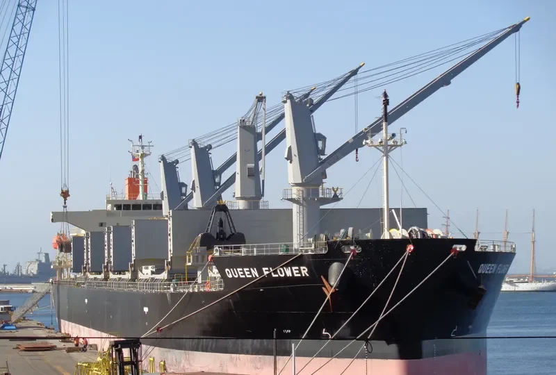 QUEEN FLOWER Bulk Carrier IMO 9673604 photo 2