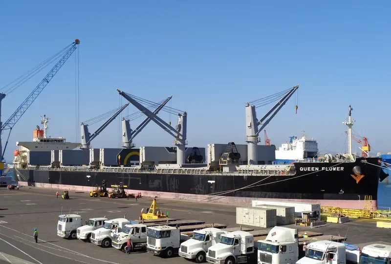 QUEEN FLOWER Bulk Carrier IMO 9673604 photo 3