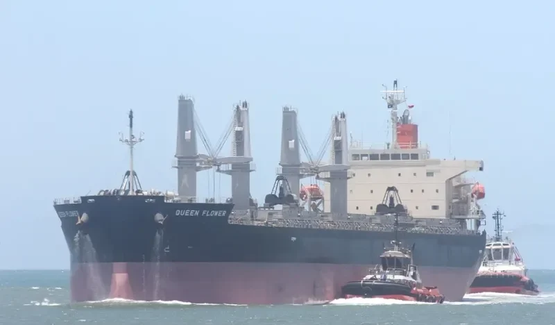 QUEEN FLOWER Bulk Carrier IMO 9673604 photo 4