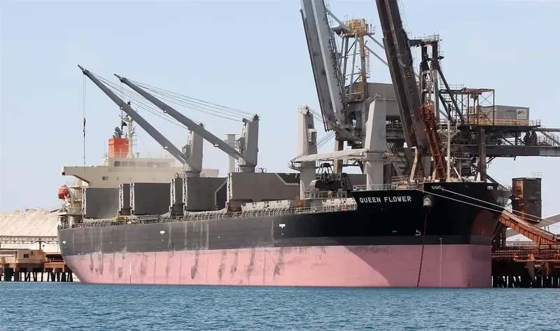 QUEEN FLOWER Bulk Carrier IMO 9673604 photo 5