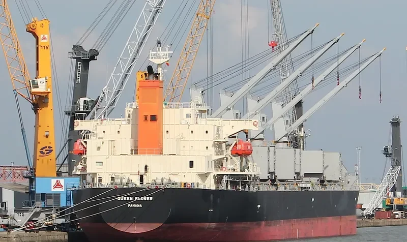 QUEEN FLOWER Bulk Carrier IMO 9673604 photo 6