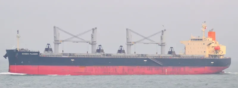 QUEEN FLOWER Bulk Carrier IMO 9673604 photo 7