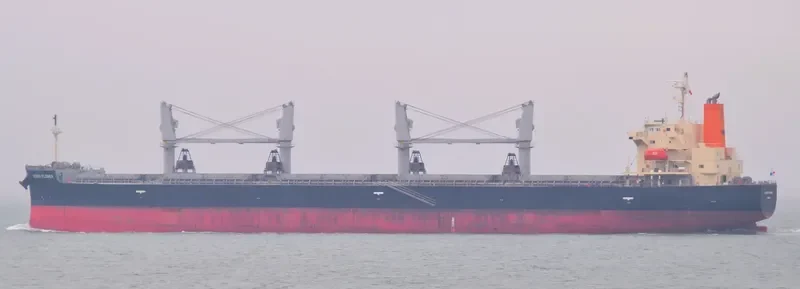 QUEEN FLOWER Bulk Carrier IMO 9673604 photo 8
